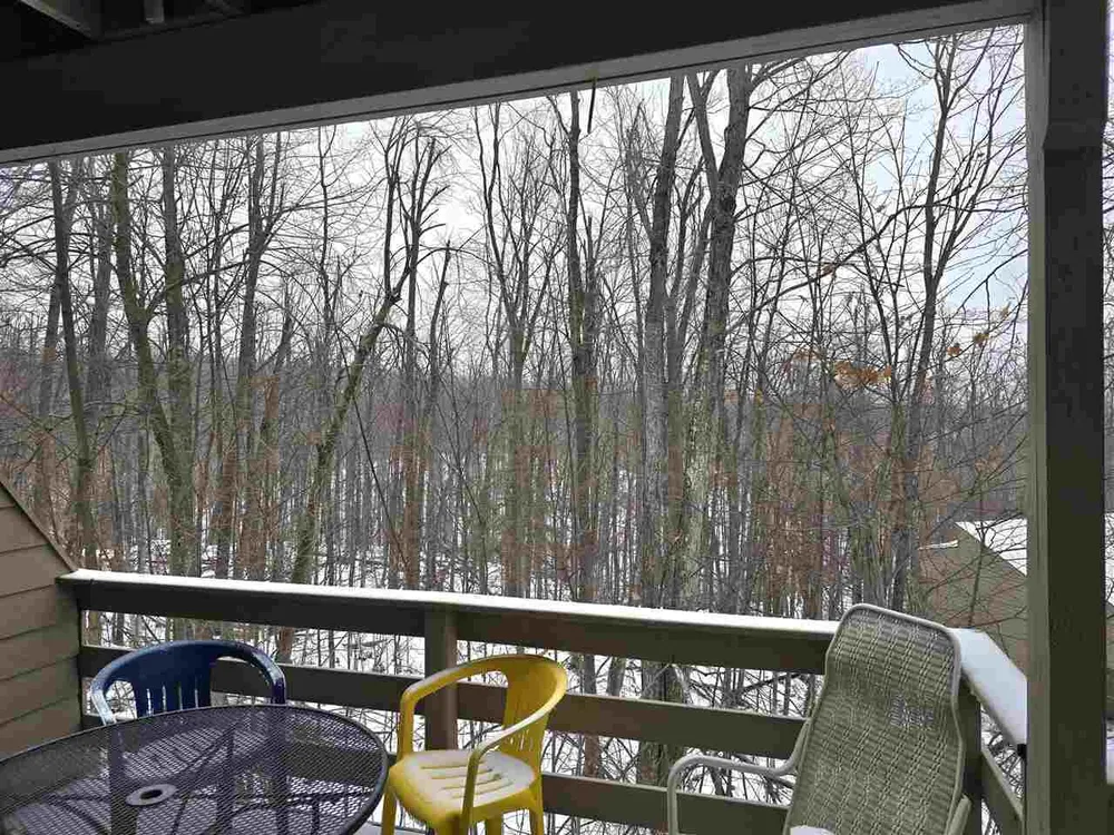 1185 Hideaway Valley Dr, Harbor Springs, MI 49740