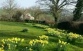 Property image gallery