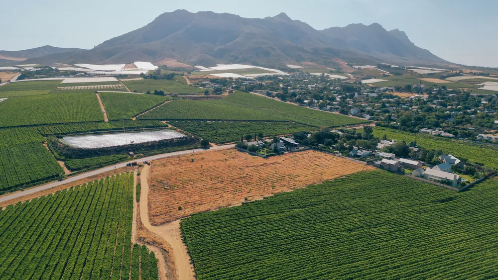 South Africa, Western Cape, Riebeek Kasteel, Hermon, 2818