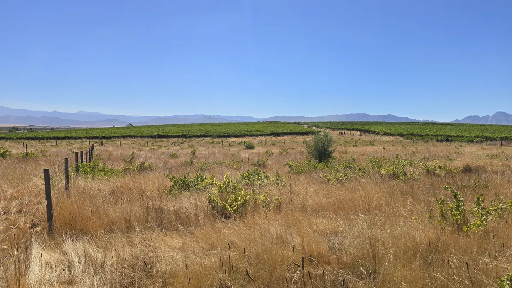 South Africa, Western Cape, Riebeek Kasteel, Hermon, 2818