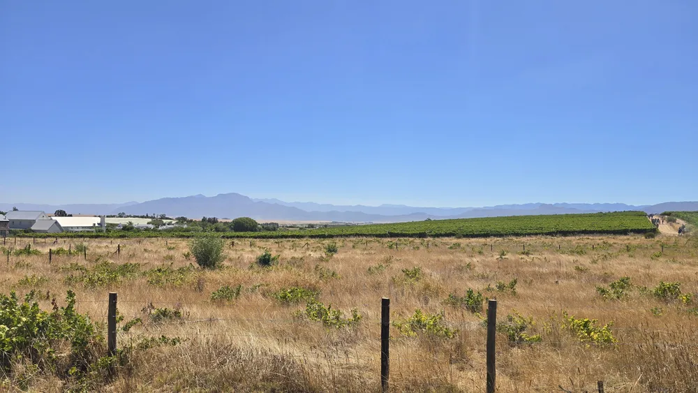 South Africa, Western Cape, Riebeek Kasteel, Hermon, 2818