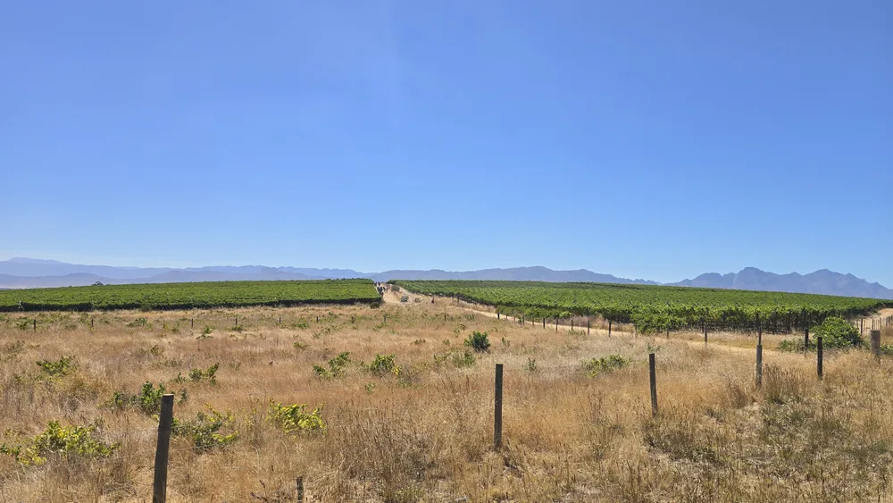 South Africa, Western Cape, Riebeek Kasteel, Hermon, 2818