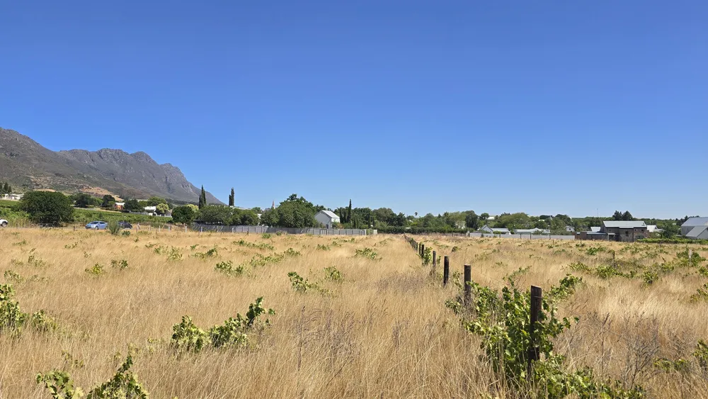 South Africa, Western Cape, Riebeek Kasteel, Hermon, 2818