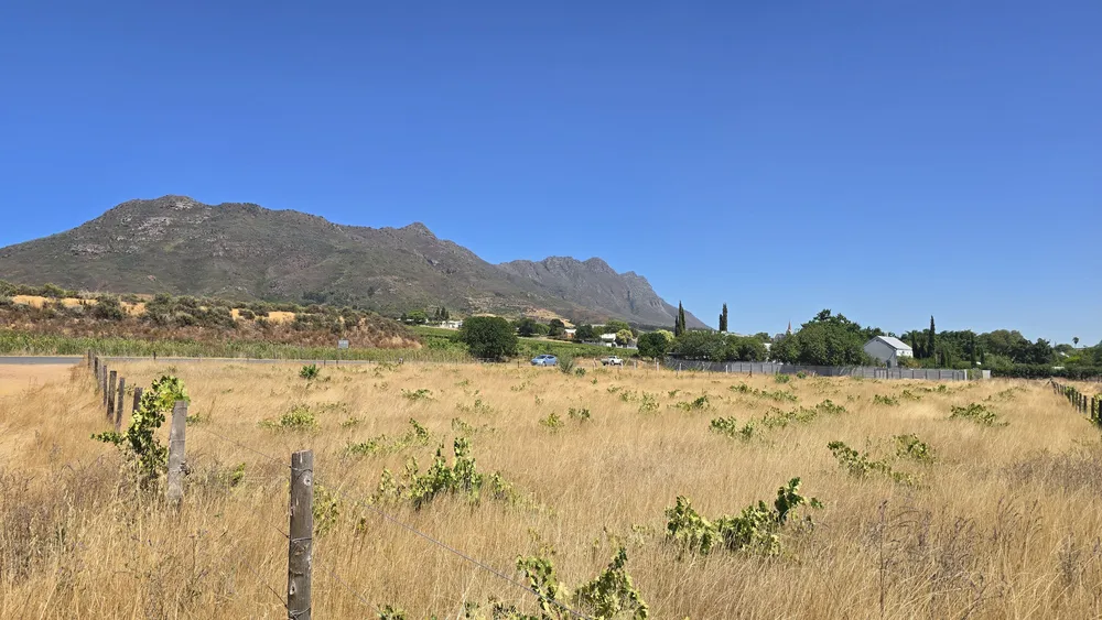 South Africa, Western Cape, Riebeek Kasteel, Hermon, 2818
