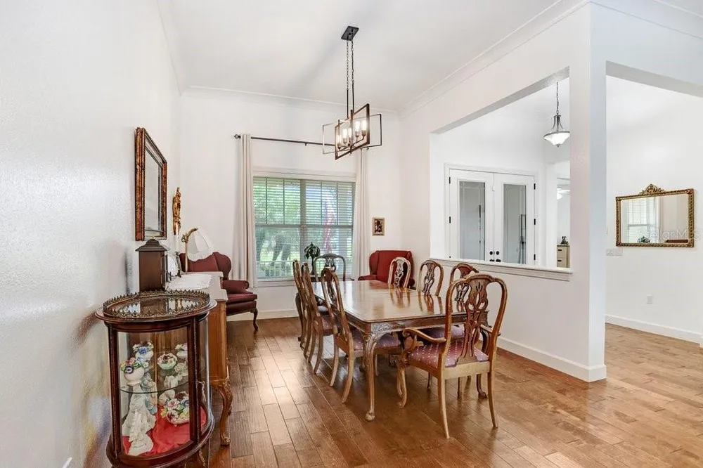7709 Kenia Meadows Ln, Odessa, FL 33556