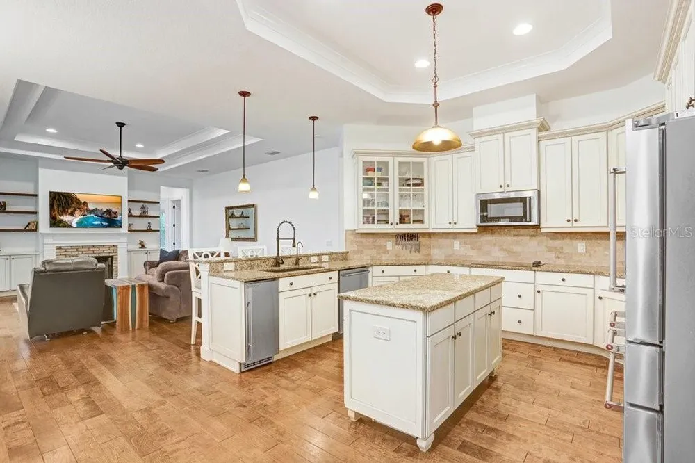 7709 Kenia Meadows Ln, Odessa, FL 33556