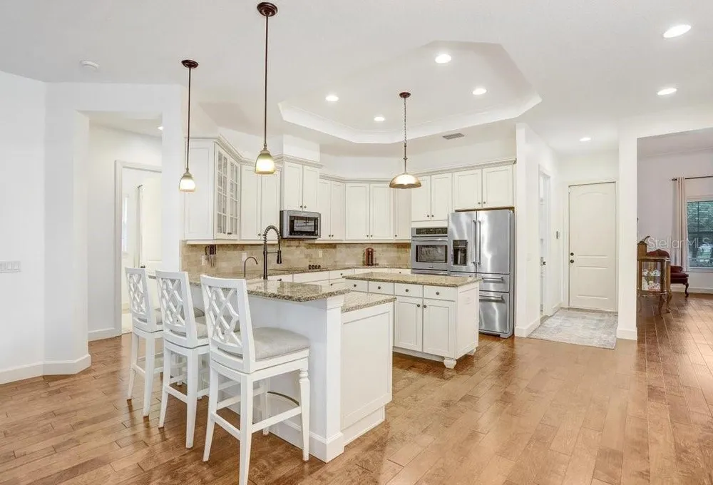 7709 Kenia Meadows Ln, Odessa, FL 33556