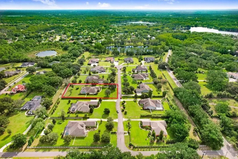 7709 Kenia Meadows Ln, Odessa, FL 33556