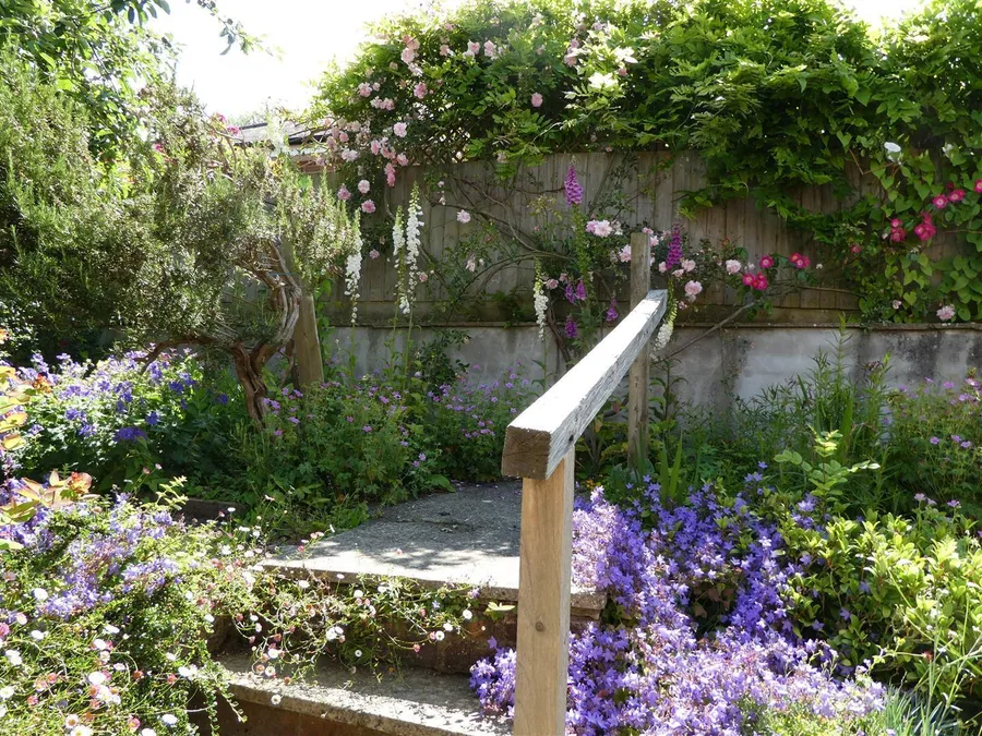 Property Image 19