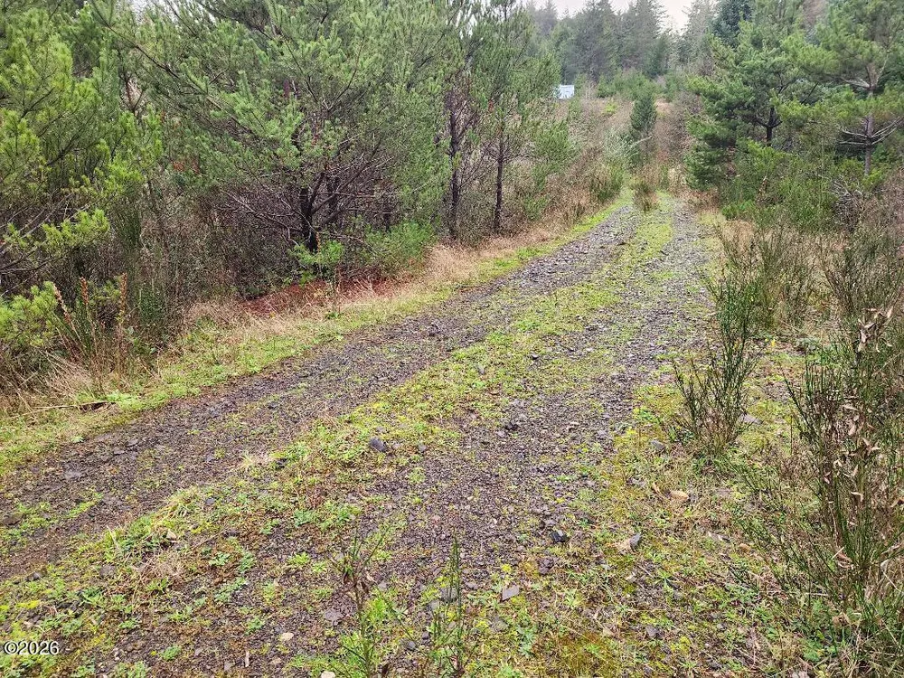 NW Legion Rd, Waldport, OR 97394
