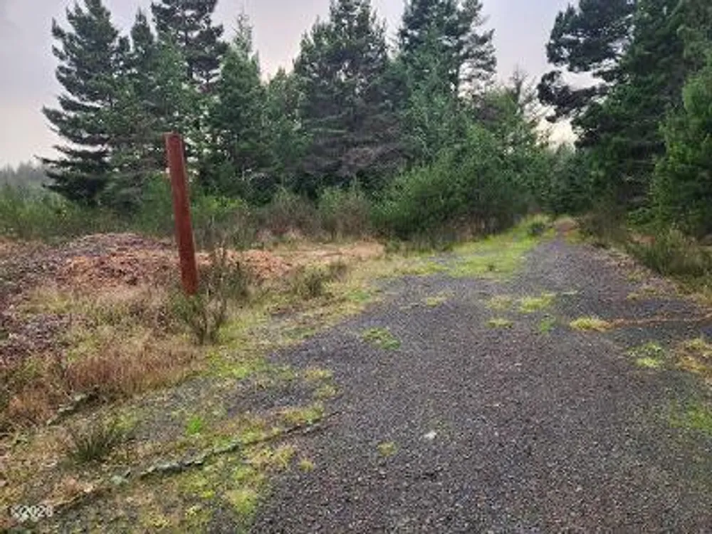NW Legion Rd, Waldport, OR 97394