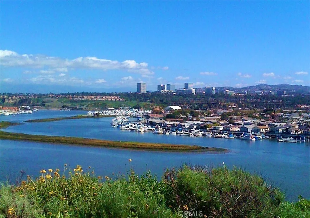 311 Concord Ln, Newport Beach, CA 92660