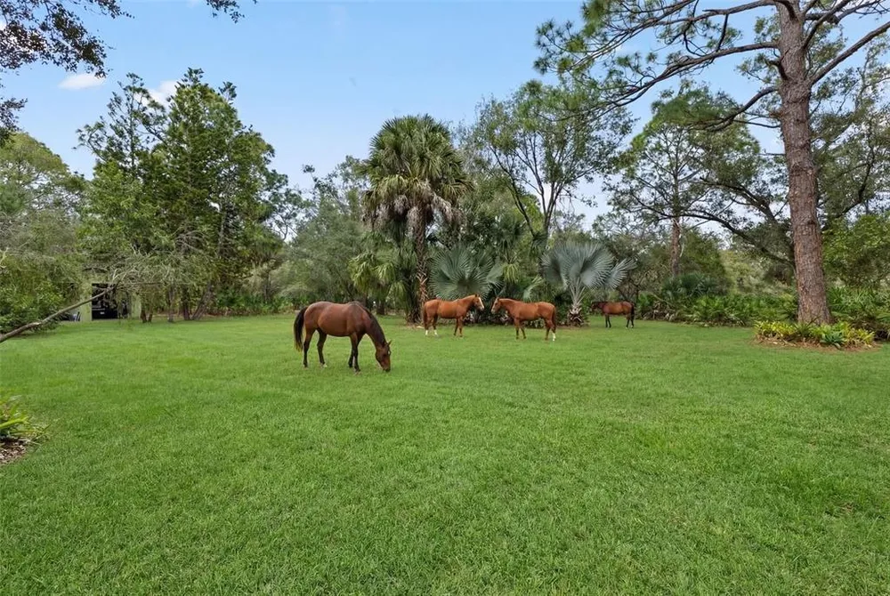 6950 El Dorado Dr, Sarasota, FL 34240