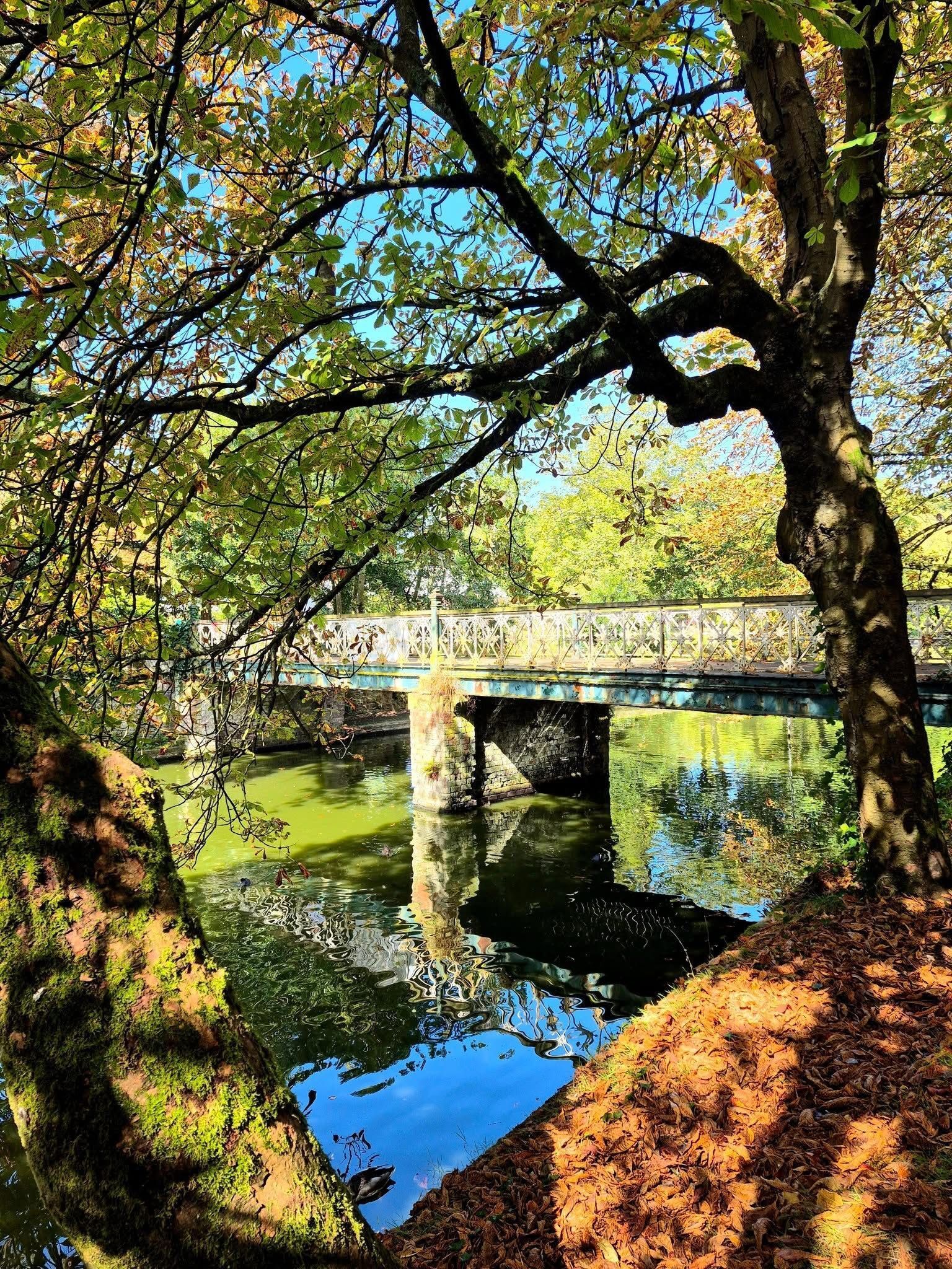 Churchtown Gardens, Churchtown PR9 9SW Image 18