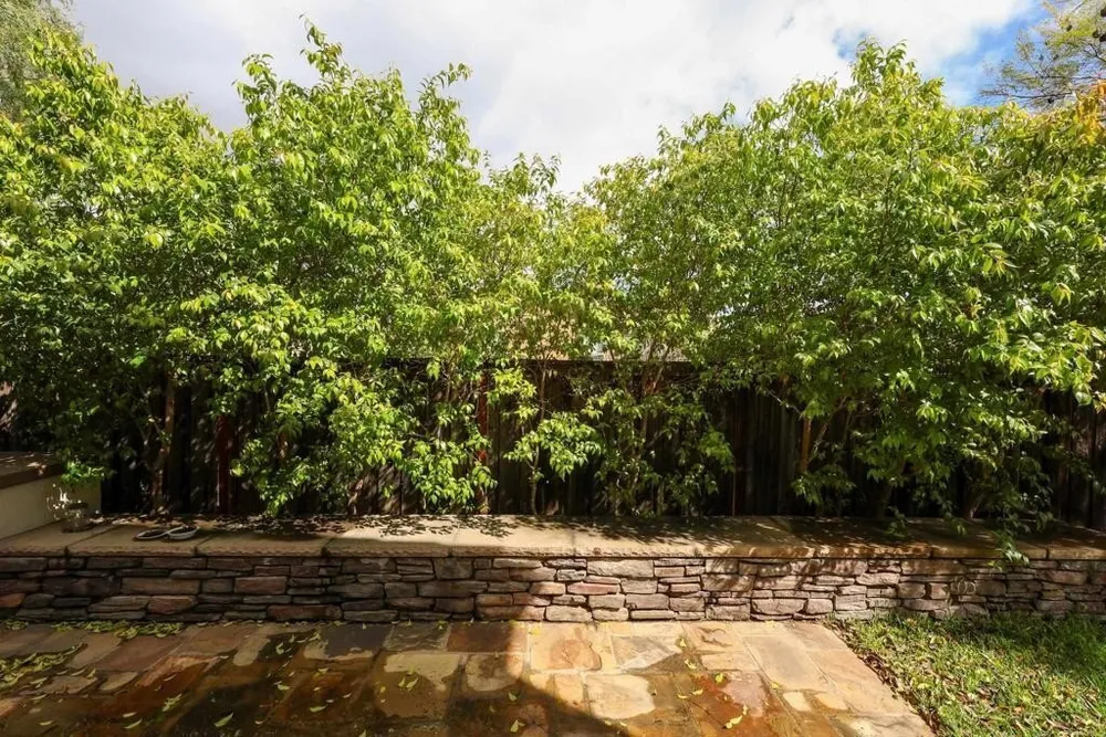 1595 Quiet Trail Dr, Chula Vista, CA 91915