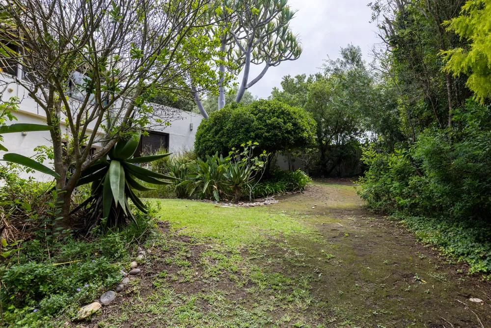 South Africa, Western Cape, The Hill