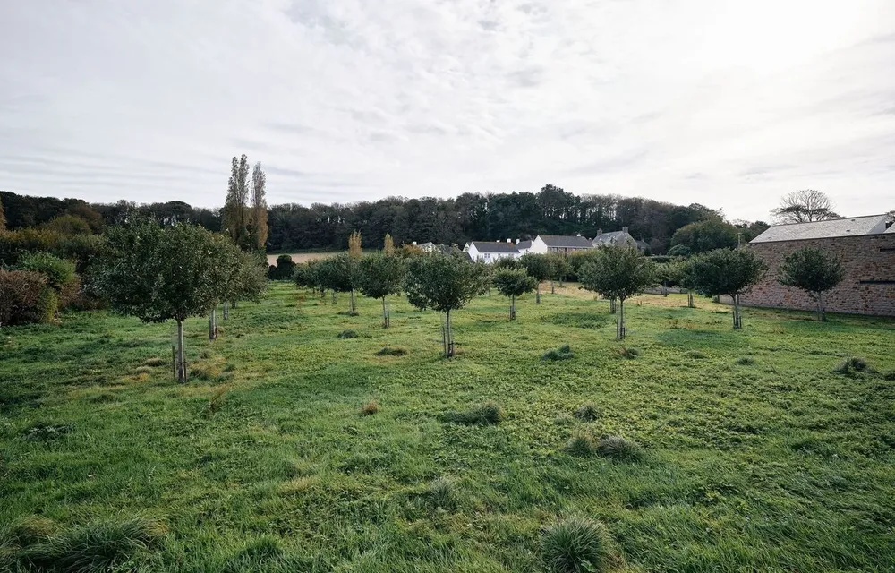 Le Petit Champeaux