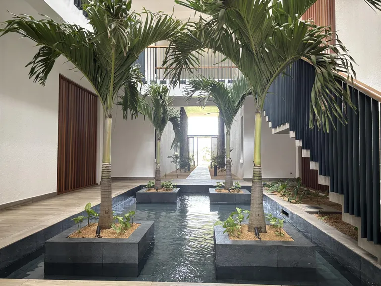 Belle Vue Harel, Mauritius