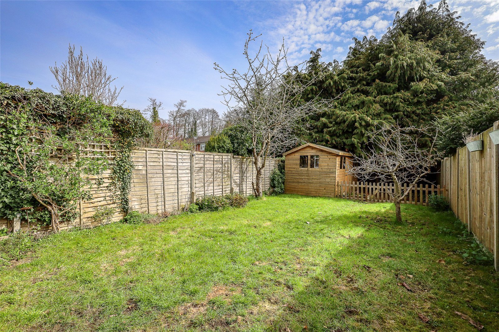 Western Road, Liss, Hampshire, GU33 Image 25