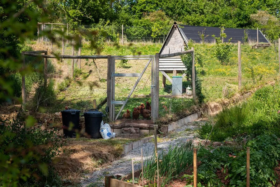 Property Image 31