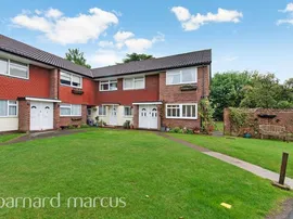Stanley Park Road photo