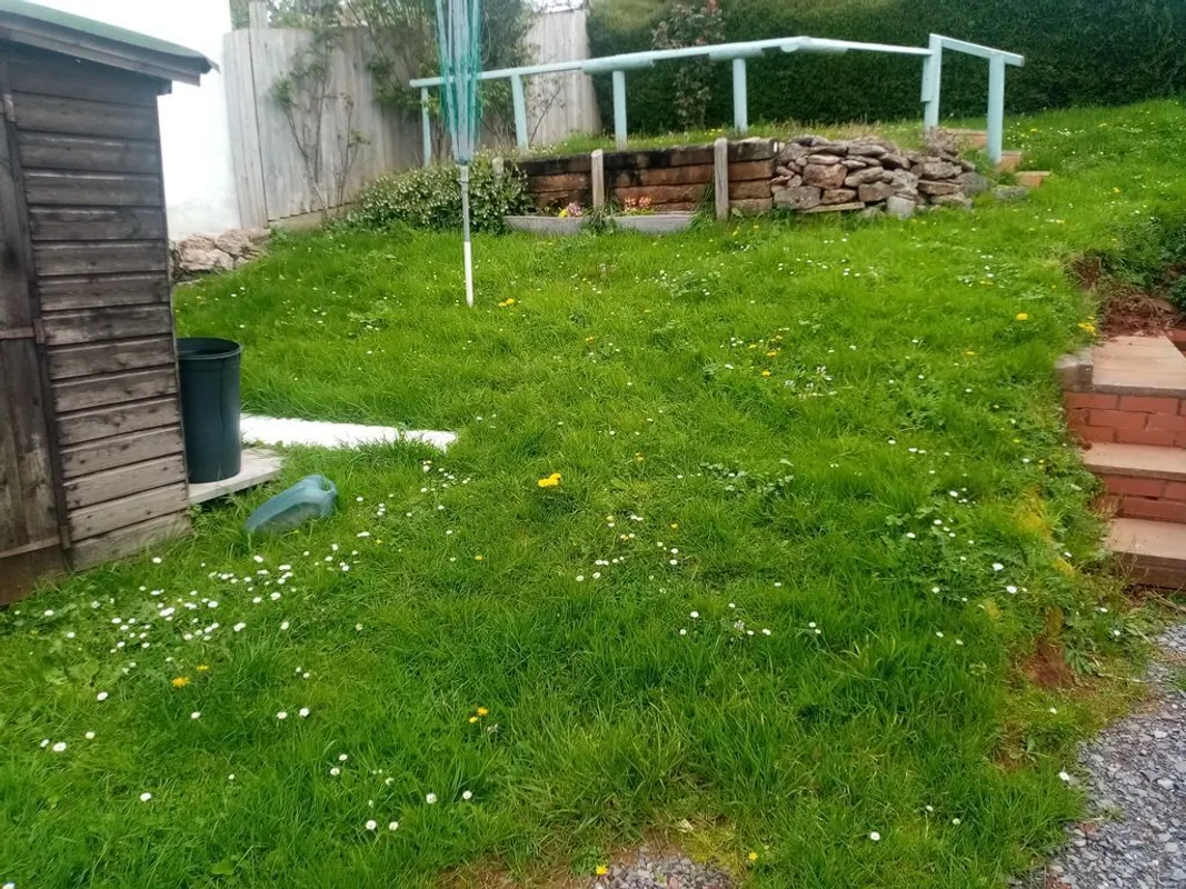 Bradley Cross, Cheddar