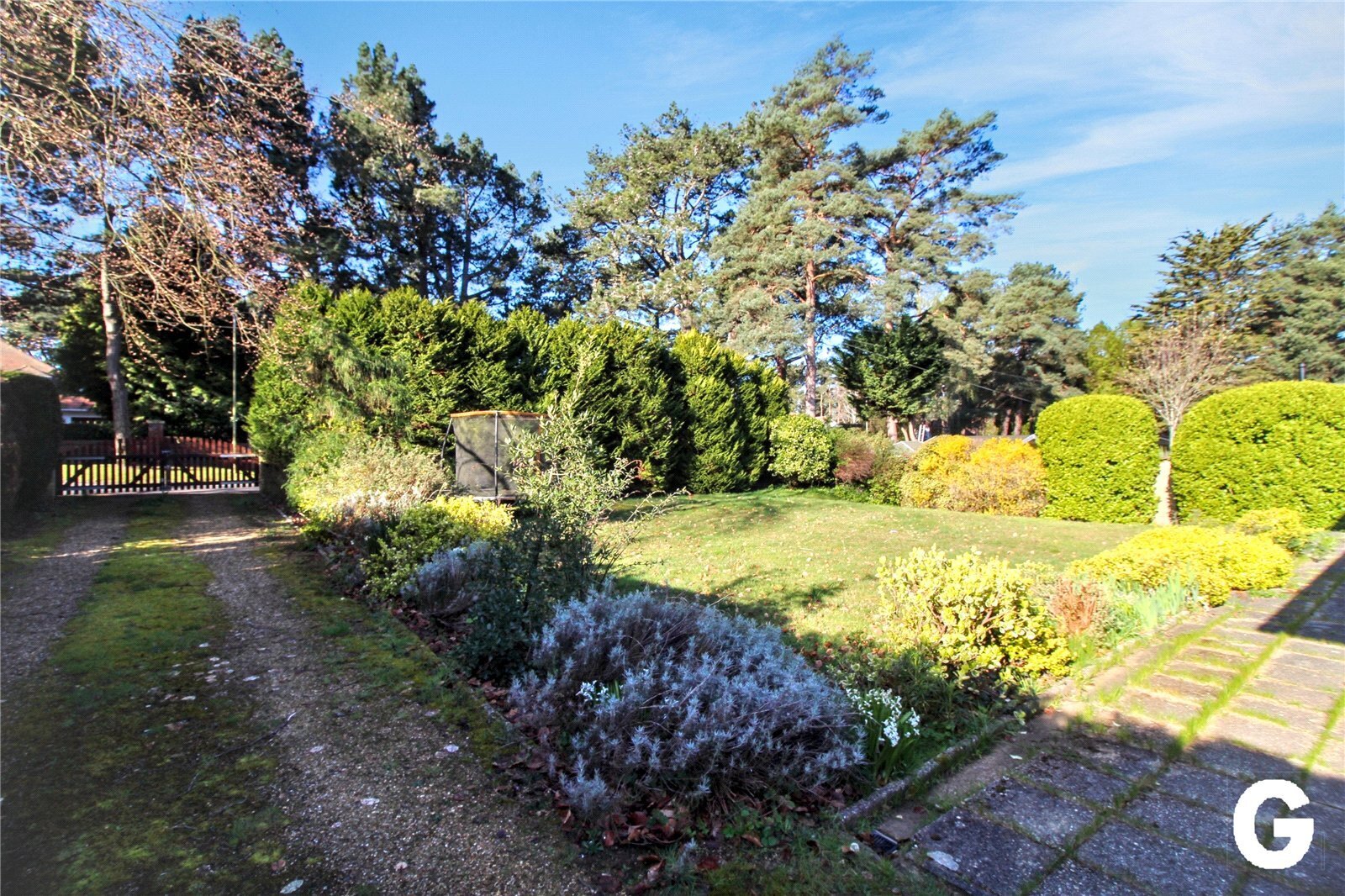 Golf Links Road, Ferndown, Dorset, BH22 Image 17