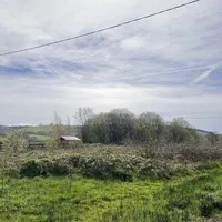 Property 25