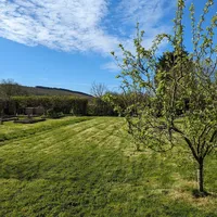 Property 32
