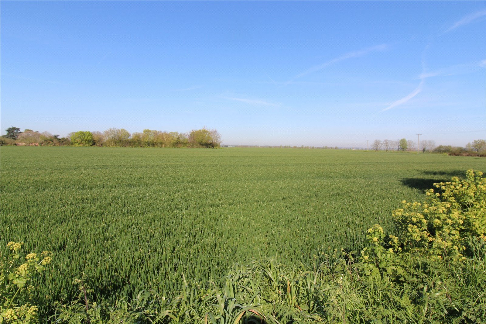 Shop Row, East End, Paglesham, Rochford, SS4 Image 2
