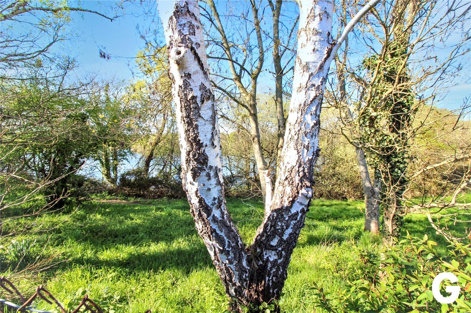 Stillwater Park, North Poulner Road, Ringwood, Hampshire, BH24 Image 13