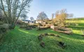 Property image gallery