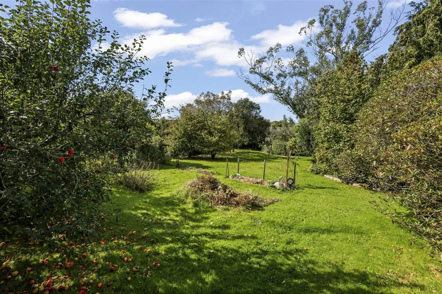 Property Image 44