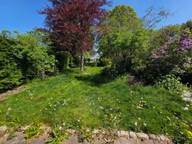 Walton Dene, Aylesbury thumb 3