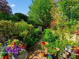 Horsham Road, Holmwood, DORKING thumb 2