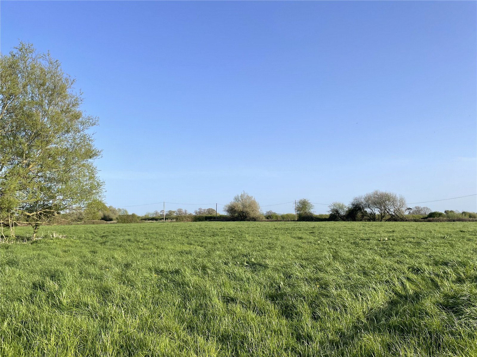 Off Panborough Drove, Panborough, Wells, Somerset, BA5