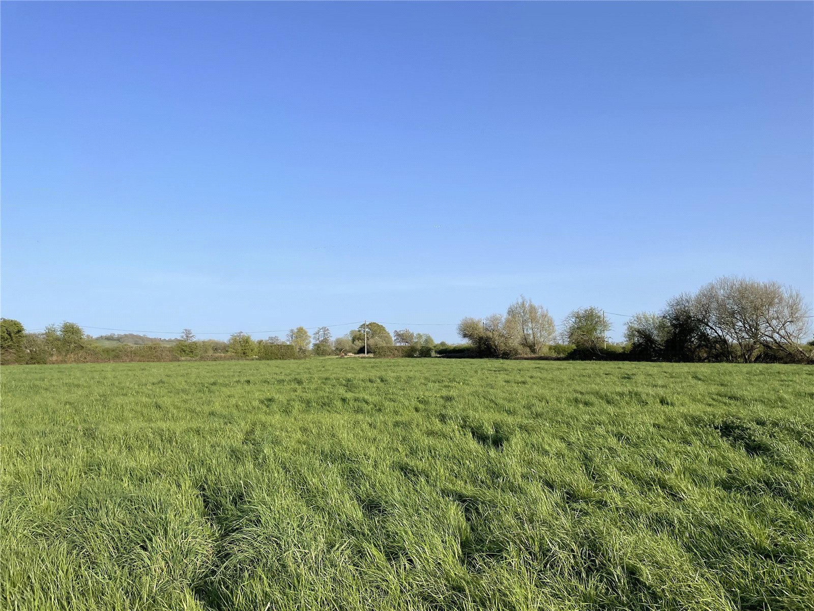 Off Panborough Drove, Panborough, Wells, Somerset, BA5