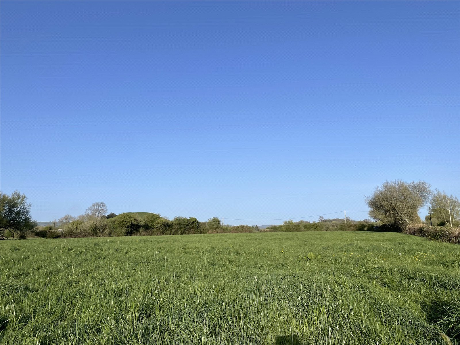 Off Panborough Drove, Panborough, Wells, Somerset, BA5