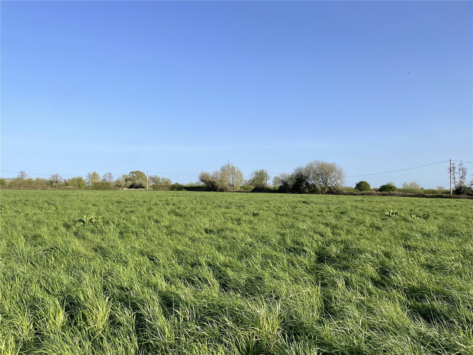 Off Panborough Drove, Panborough, Wells, Somerset, BA5
