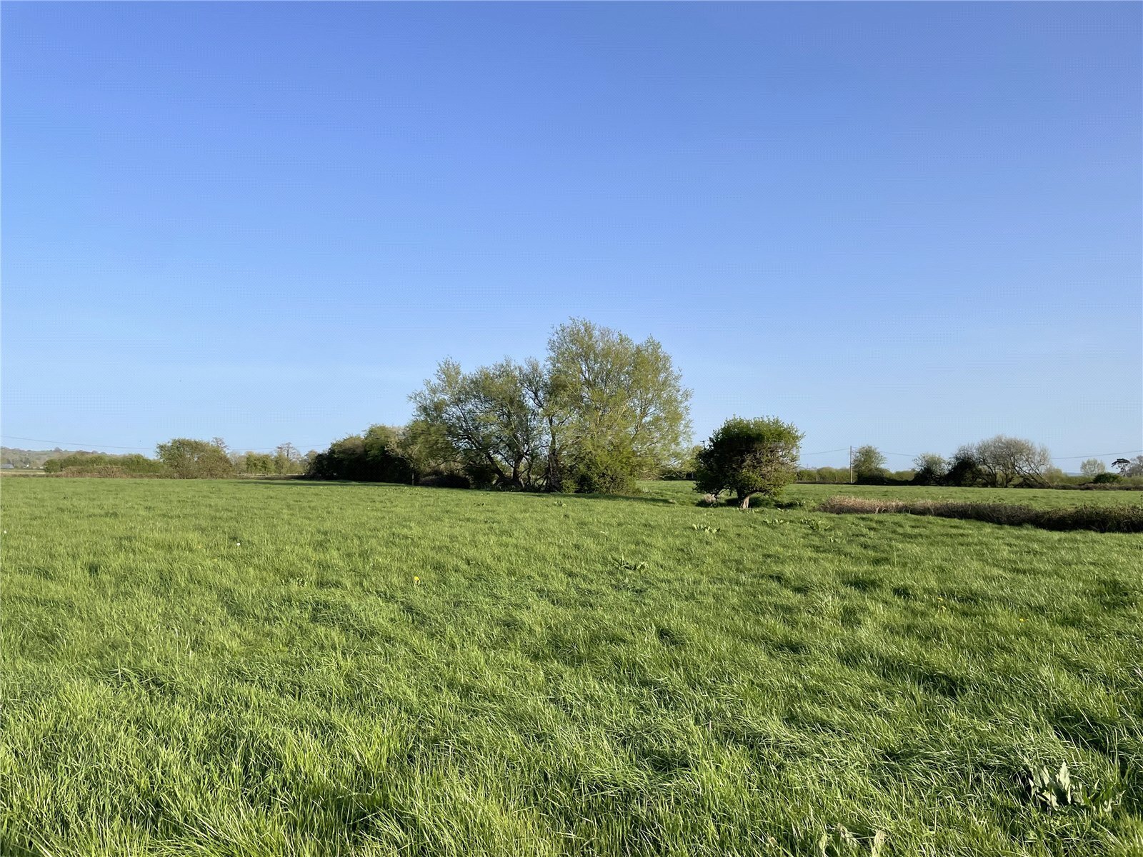 Off Panborough Drove, Panborough, Wells, Somerset, BA5