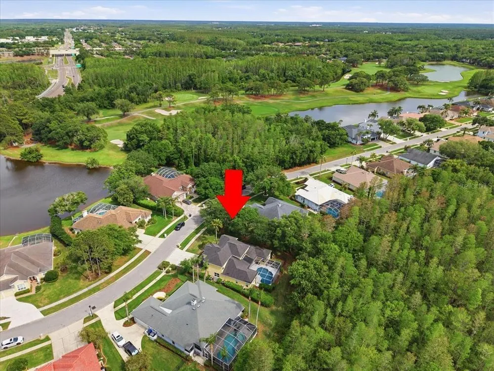 19106 Saint Laurent Dr, Lutz, FL 33558