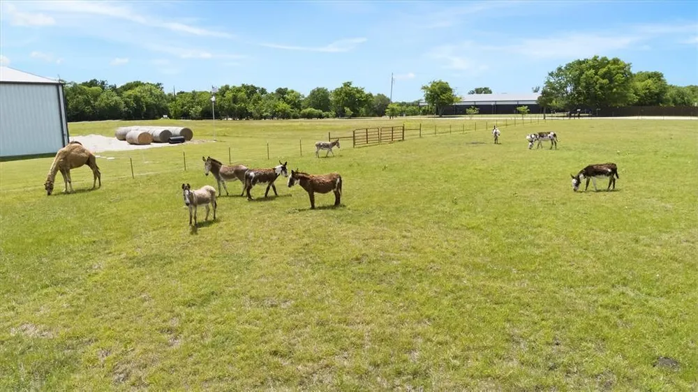 14705 County Road 545, Nevada, TX 75173