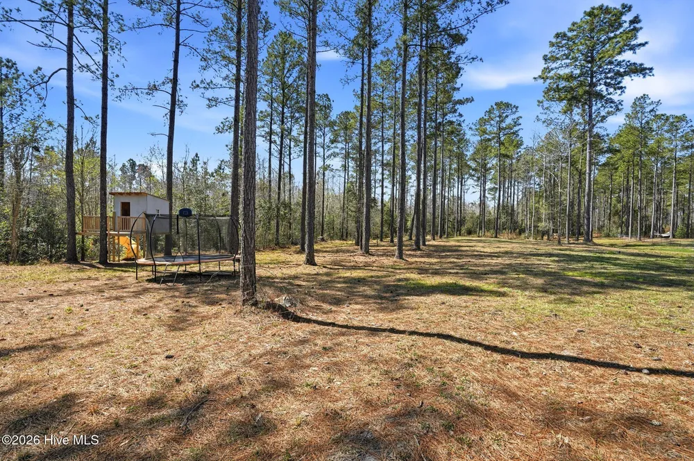 96 Secretariat Run, Rocky Point, NC 28457