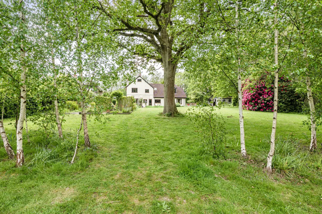 London Road, Hildenborough, TN11 photo 8