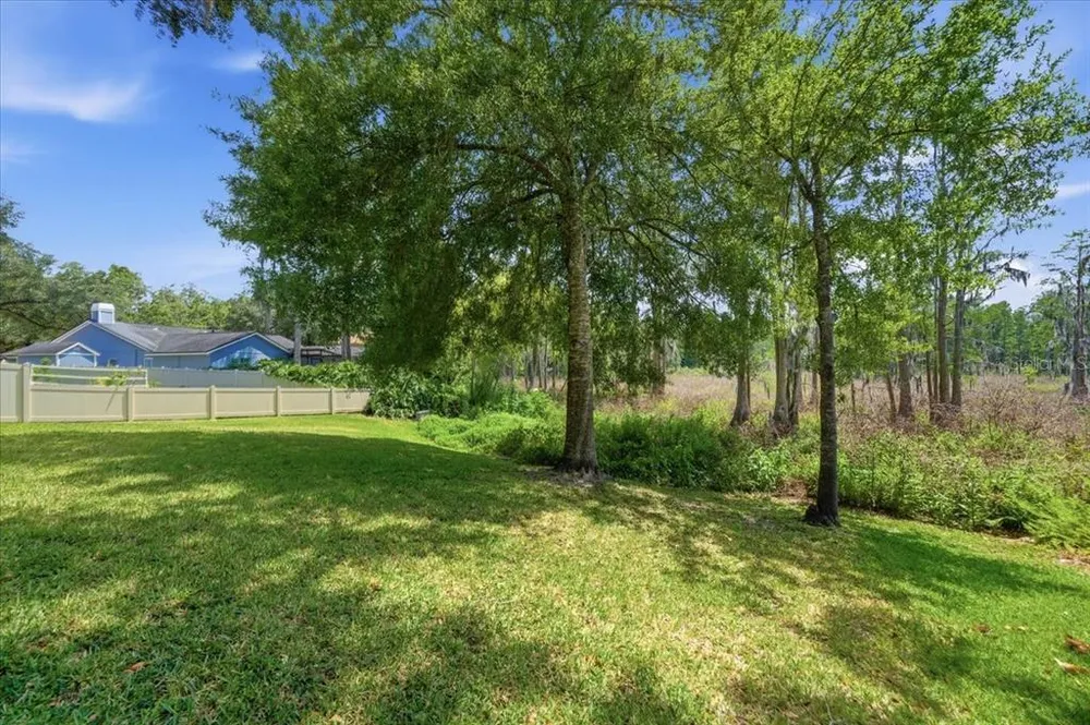 2804 Palamore Dr, Tampa, FL 33618