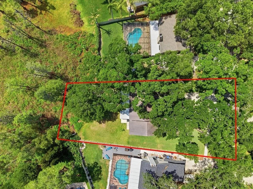 2804 Palamore Dr, Tampa, FL 33618