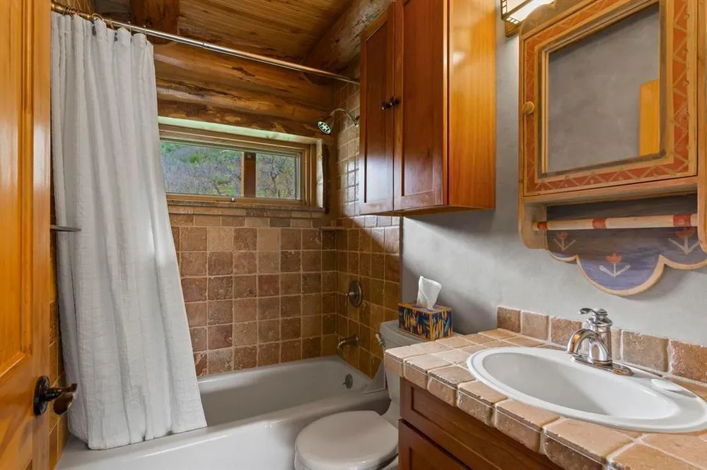 134 Chapman Ln, Durango, CO 81301