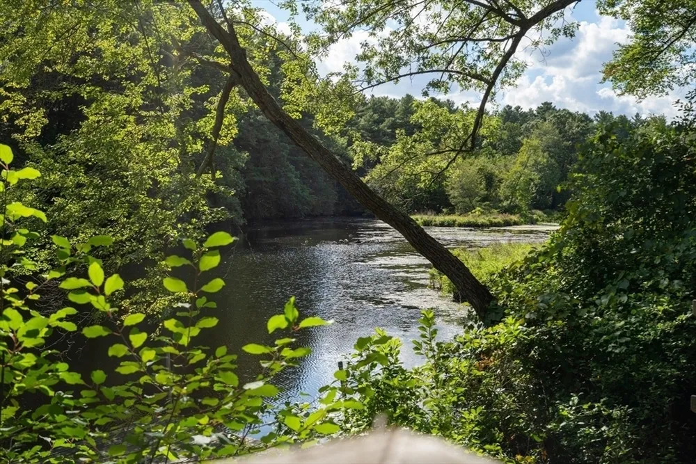 182 Winding River Rd, Wellesley, MA 02482