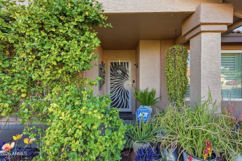 20324 N 110th Ln, Peoria, AZ 85373