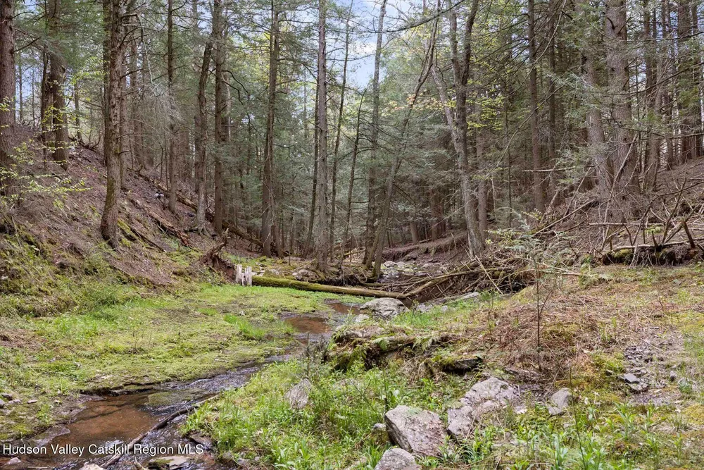 27 Anchor Camp Rd, Windham, NY 12496
